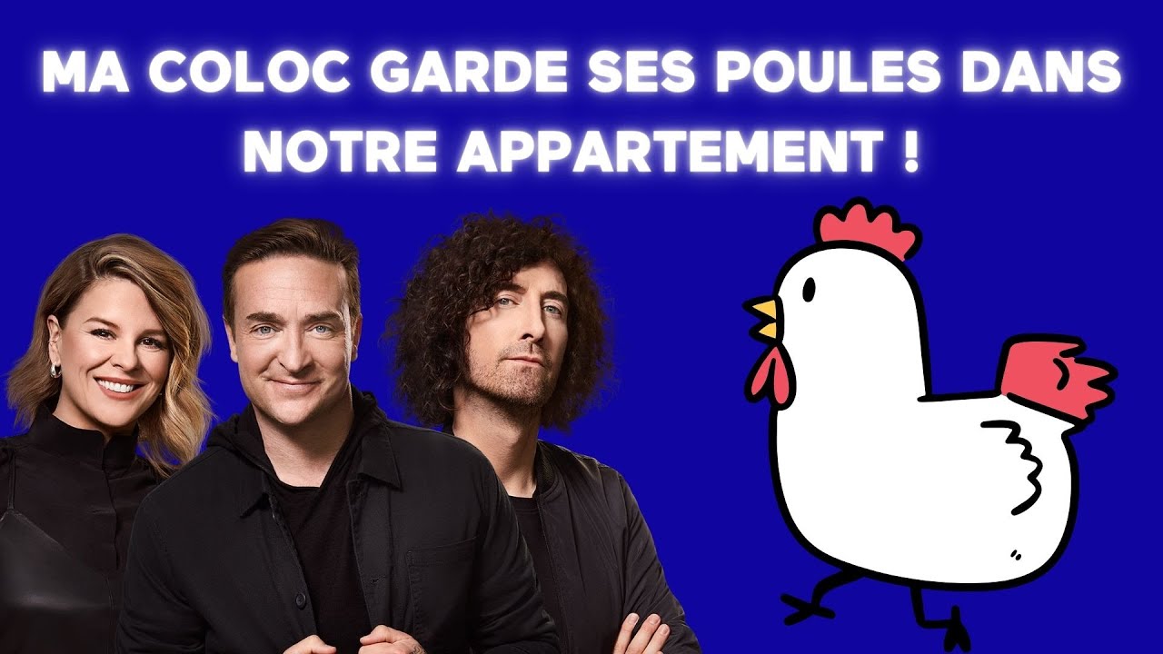 [&Eacute;NERGIE] 🐔 Ma coloc veut garder ses poules dans notre apart! 🐔 &ndash; R&eacute;v&eacute;lations