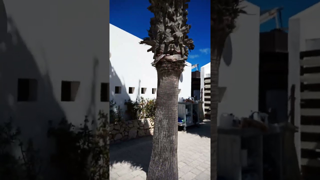 Torre Rinalda camping - video recensione