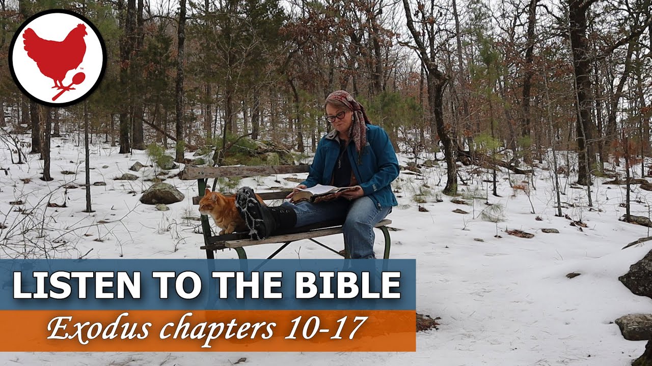 Listening To the Bible | Peaceful Scripture Reading