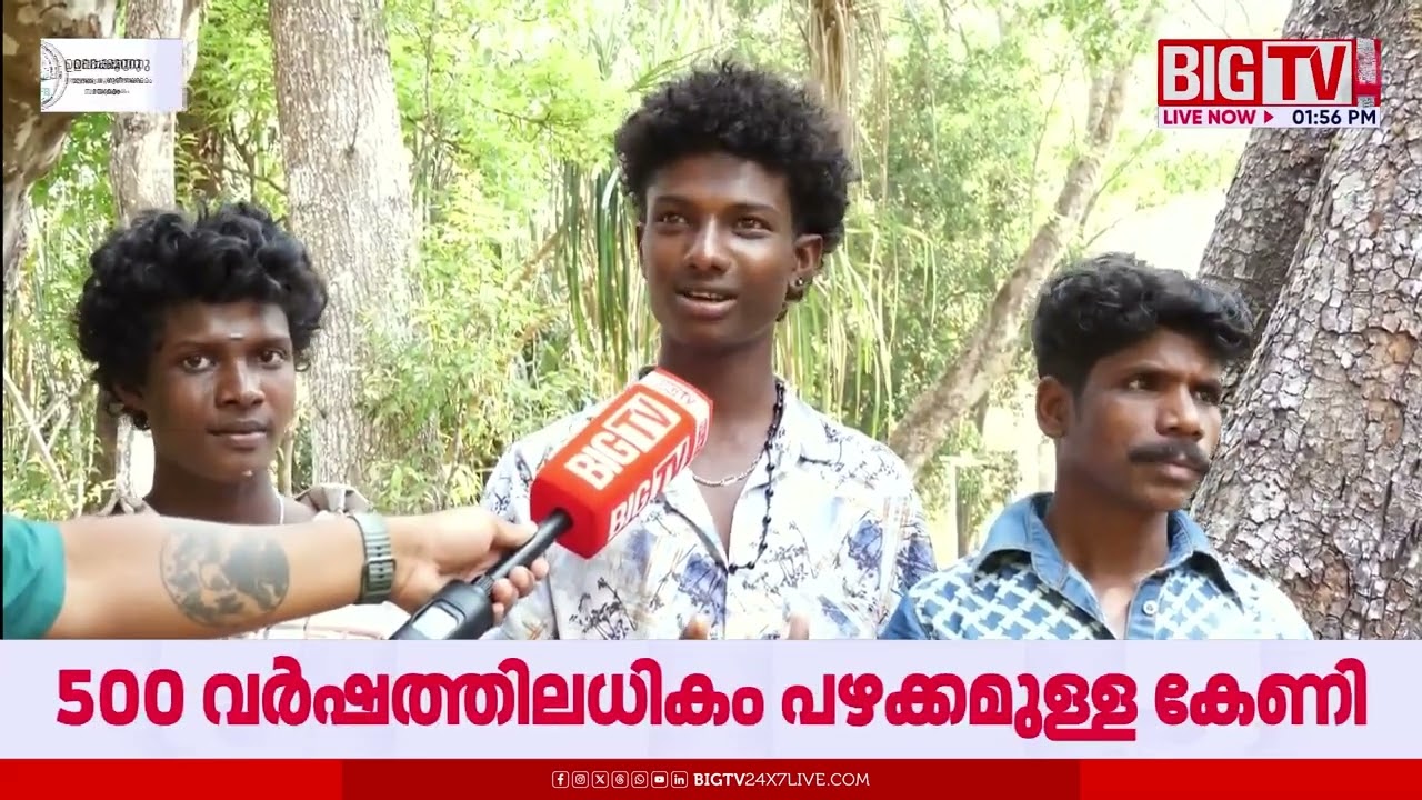 ഒരു വേനലിലും വറ്റാത്ത തീർത്ഥം; അരയോളം ആഴമുള്ള മരക്കുറ്റിയിൽ നിന്ന് വരുന്ന തെളിനീര് | Wayanad