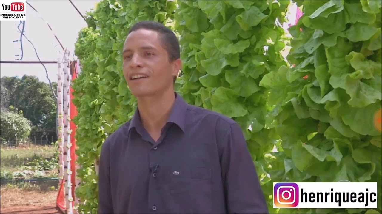 AEROPONIA - Agricultura do futuro!  ENTREVISTA MS RURAL
