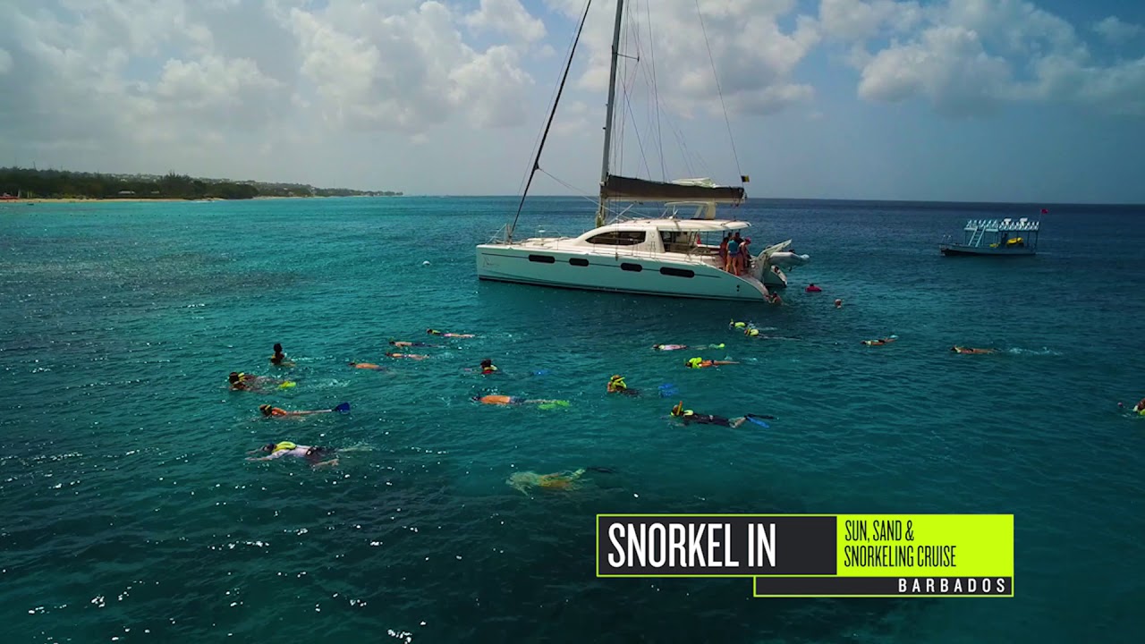 Catamaran and Snorkeling Cruise At Carlisle Bay - Island Routes