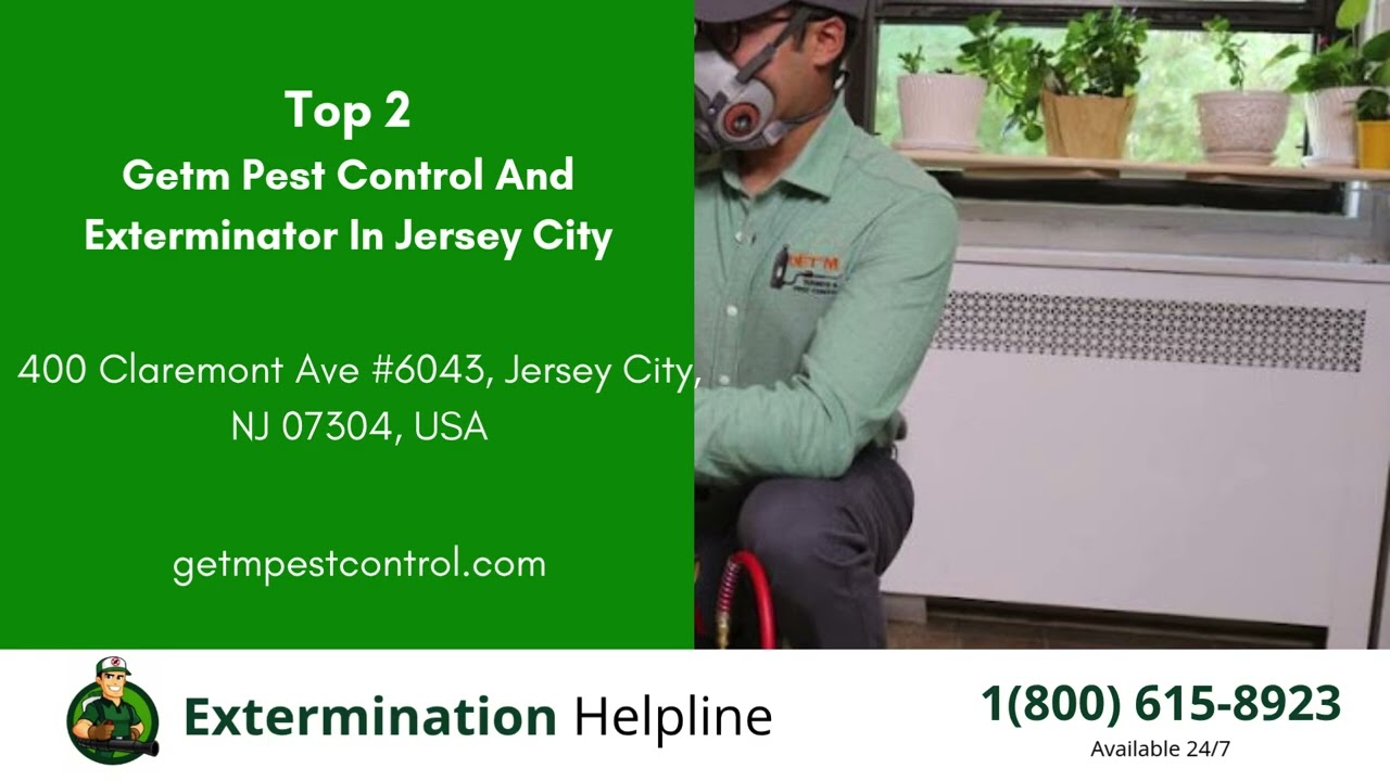 Top 3 Exterminators in Orange