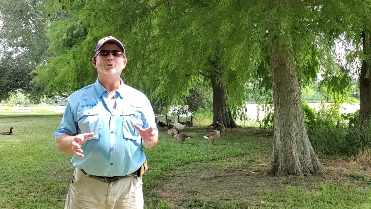 City Park Lake Baton Rouge: Part 1: Pollution