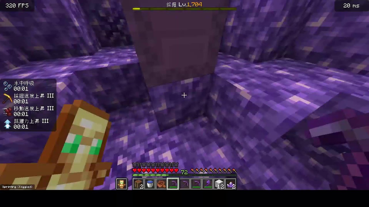 【マイクラ参加型】ねこかぞくの「10分でアメジストをとる！」クロスプレイ対応 Java版＆統合版 #マイクラ参加型 #minecraft