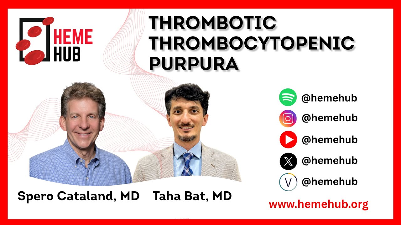 Thrombotic Thrombocytopenic Purpura | Spero Cataland, MD and Taha Bat, MD | HemeHub.org