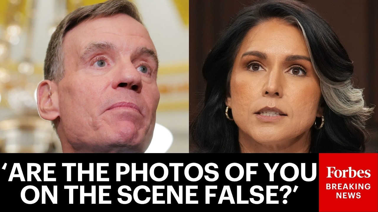 Марк Уорнер допрашивает Тулси Габбард по поводу ее причастности к расследованию выборов в округе ...