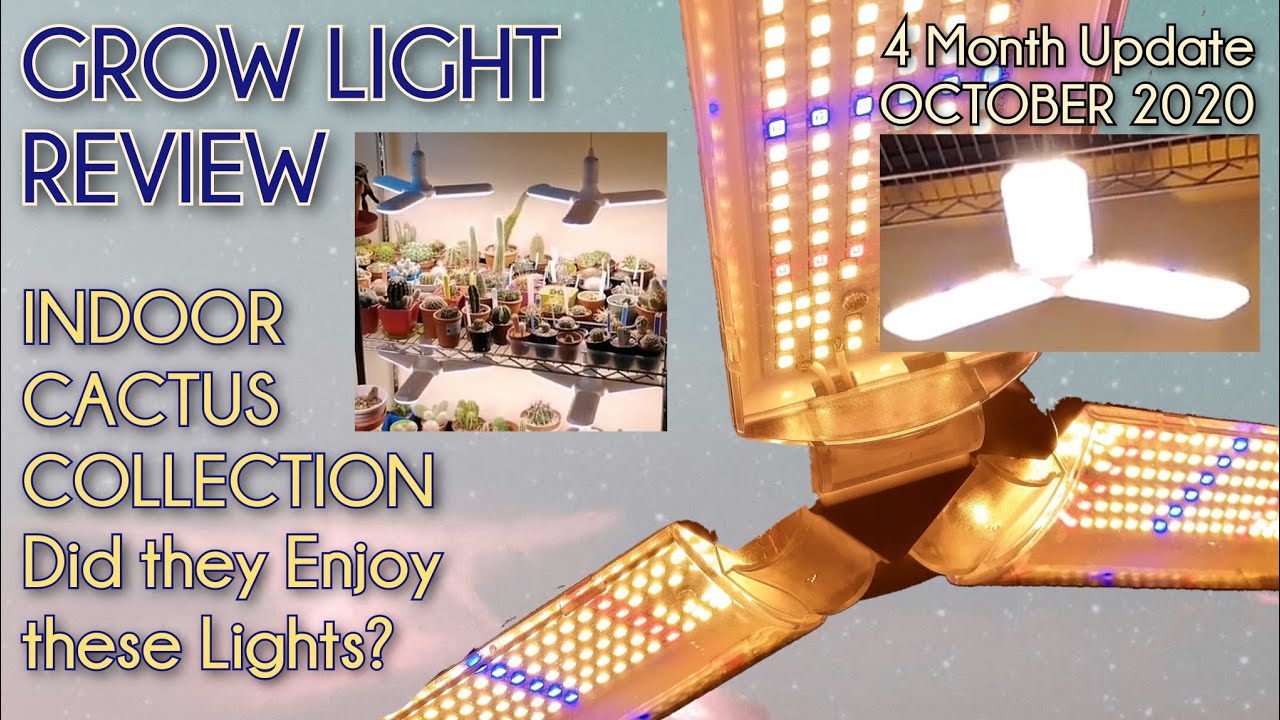 Foldable/trifold Led Grow Light Bulbs 4 Months Later REVIEW Used on Cactus Plants | UPDATE Oct 2020
