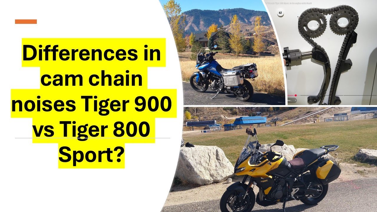 Различия в шуме цепи кулачка между Tiger 900 и Tiger Sport 800?