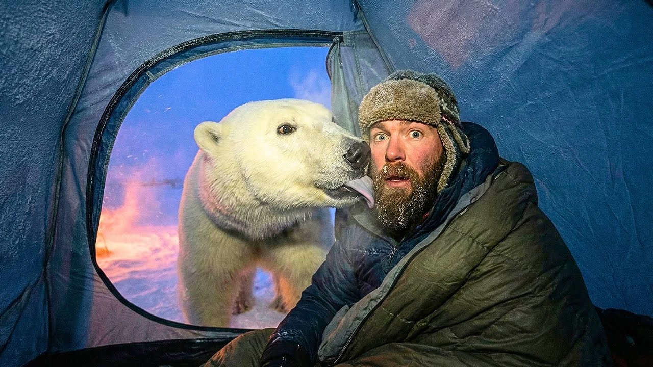 He Woke Up to a Polar Bear Licking His Face at -60°C... It Was Trying to Warn Him ⚠️