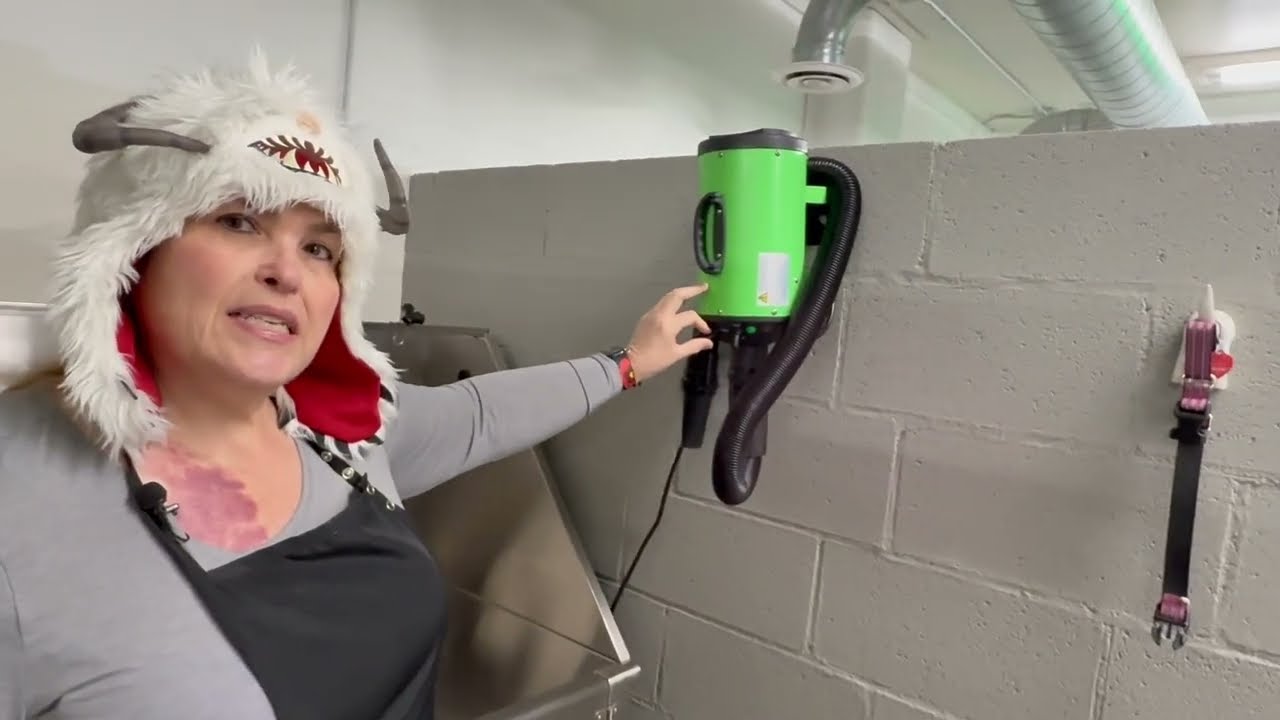 Self Service Dog Wash