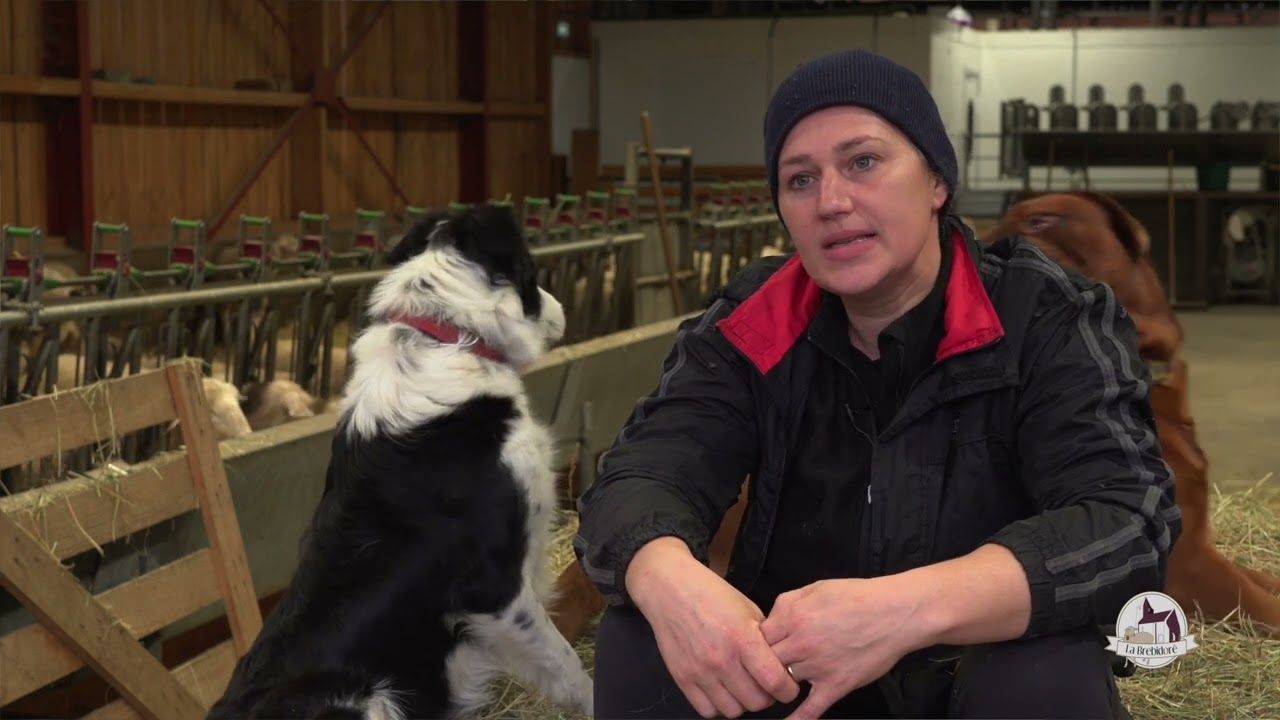 La bergerie d'Émilie