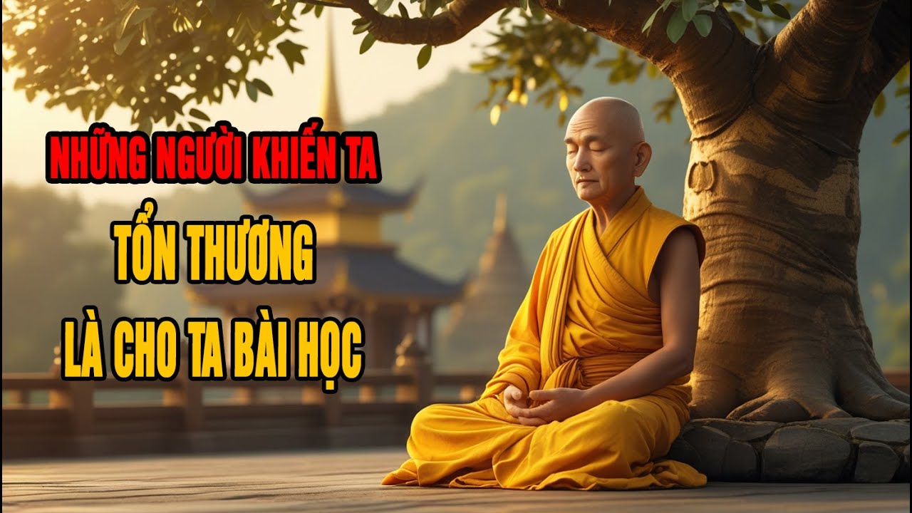 Những Người Khiến Ta Tổn Thương Là Cho Ta Bài Học  –Tỉnh Thức