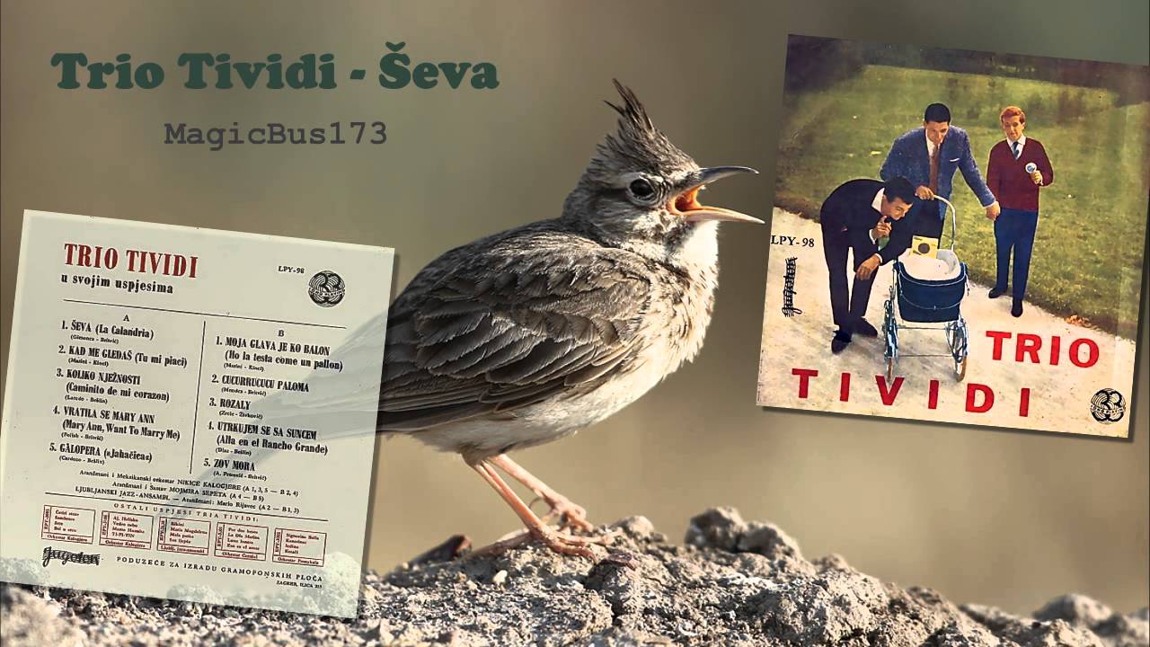 Trio Tividi - &Scaron;eva