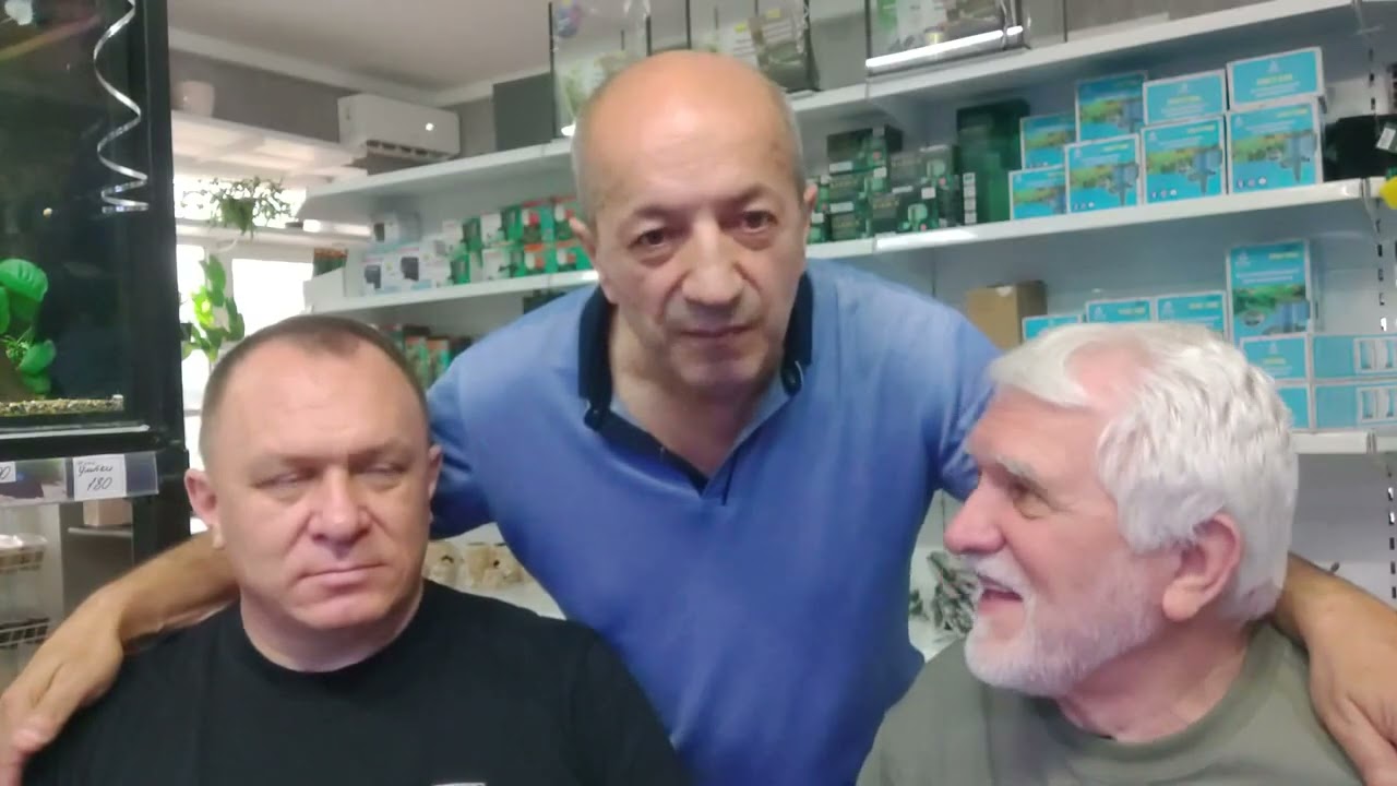 Мнения профессионалов о кормах для аквариумных рыб.