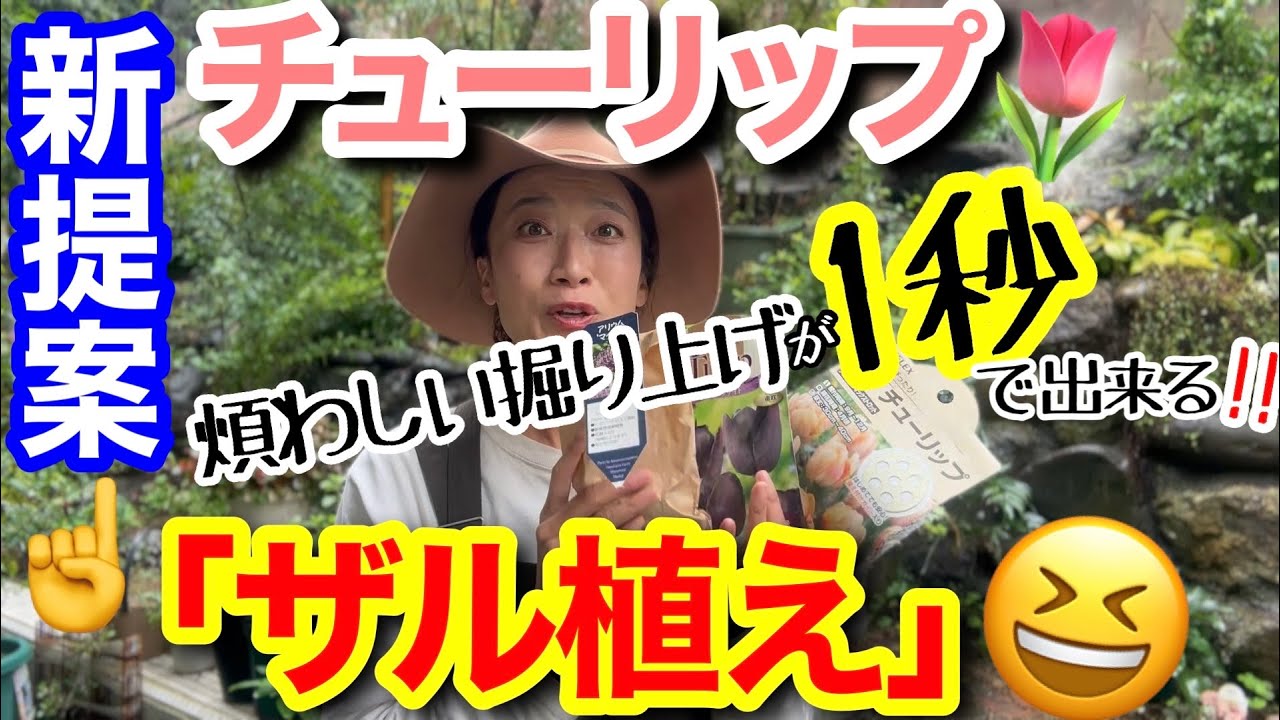 【新提案】チューリップの「ザル植え」って何？！/ 大変な球根の掘り上げが一瞬で出来る植え方🌷/ 5つのメリットを聞けば、ザル植えしたくなる‼️/ お家にある色んなザルが大活躍✨【ガーデニング】