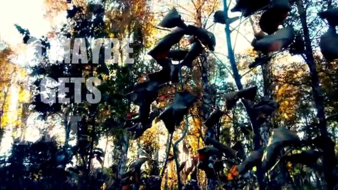 Matthew Ryan–Follow The Leader (Lyric - Video)