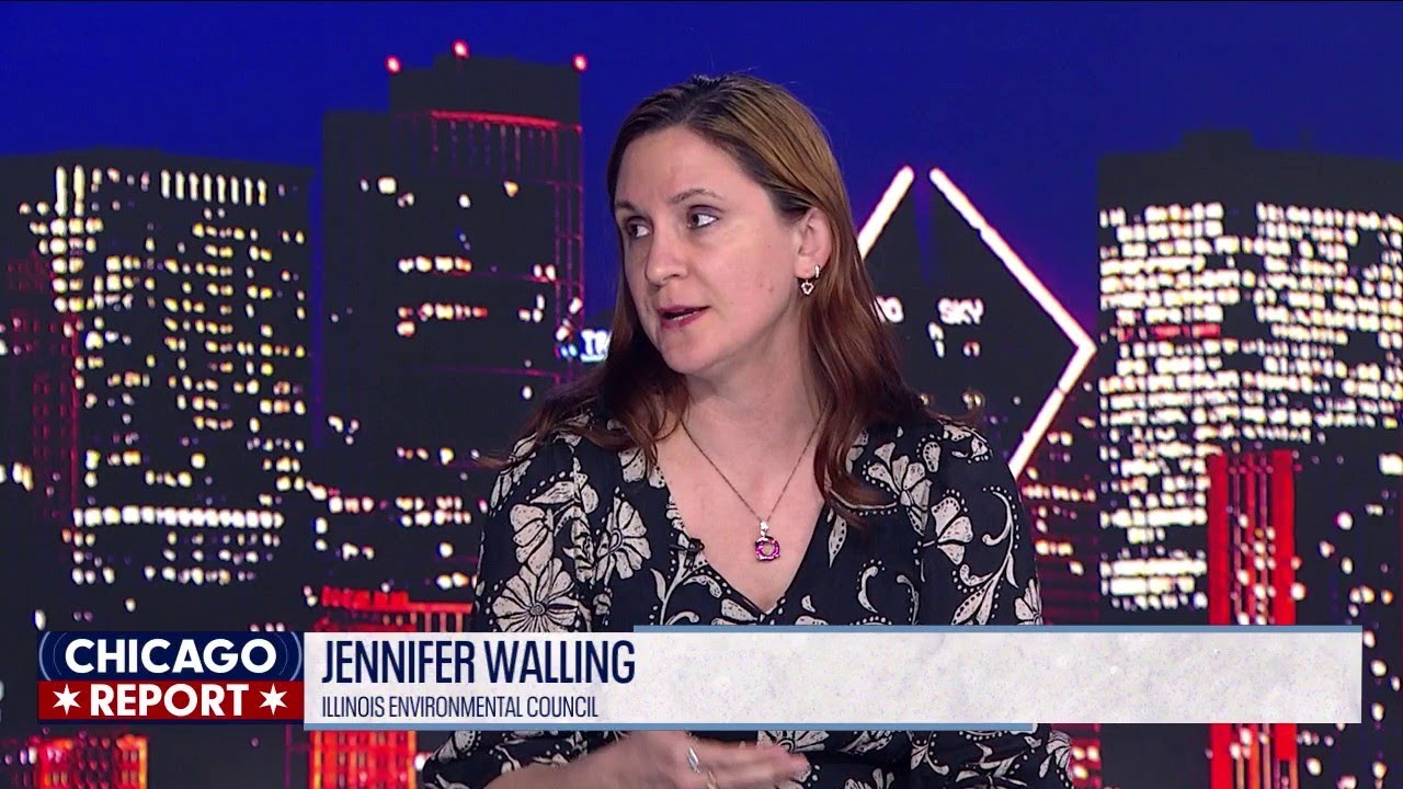 Environmental groups push to reign in data centers | The Chicago Report