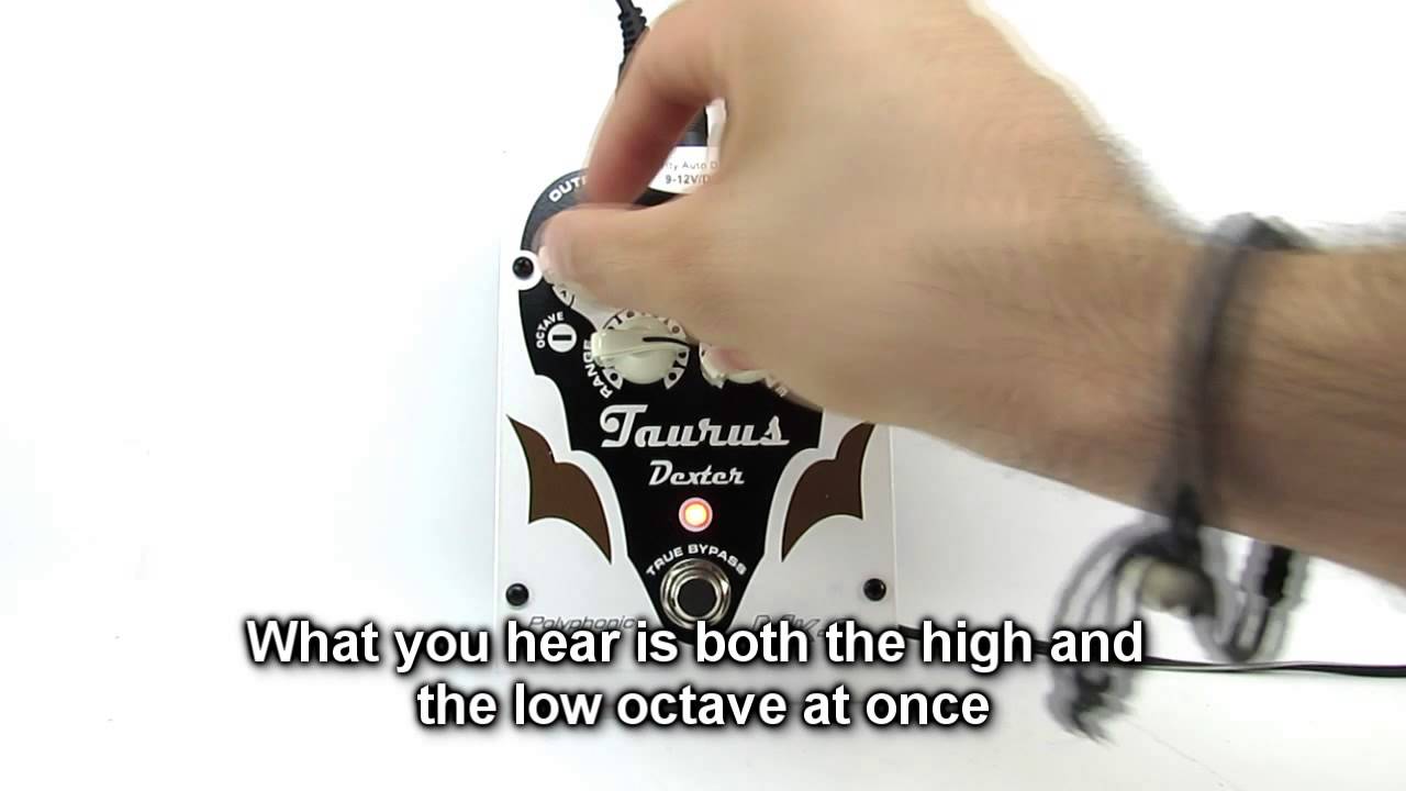 Taurus Dexter Pitchshifter Review