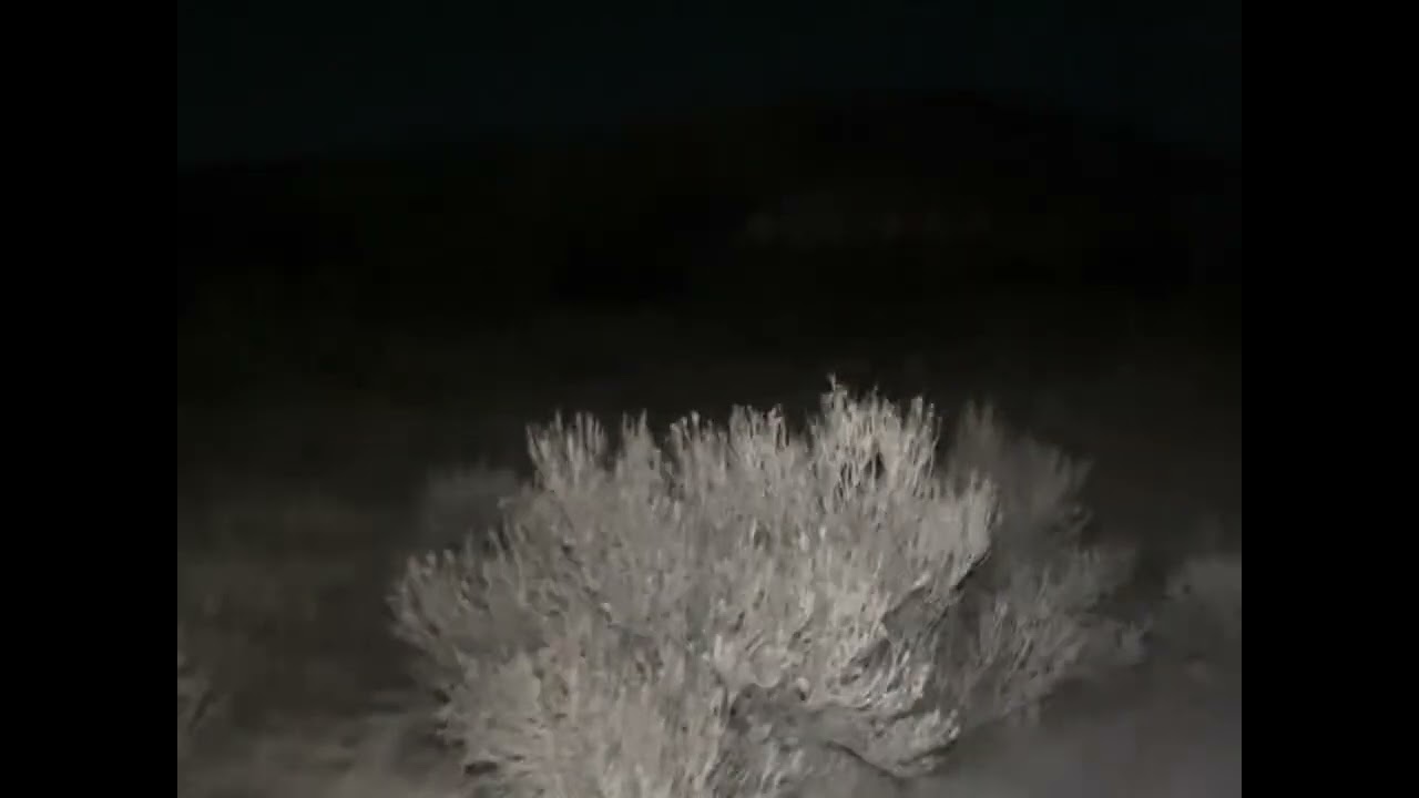 Federal Signal SiraTone ALL SIGNALS night desert ambience 