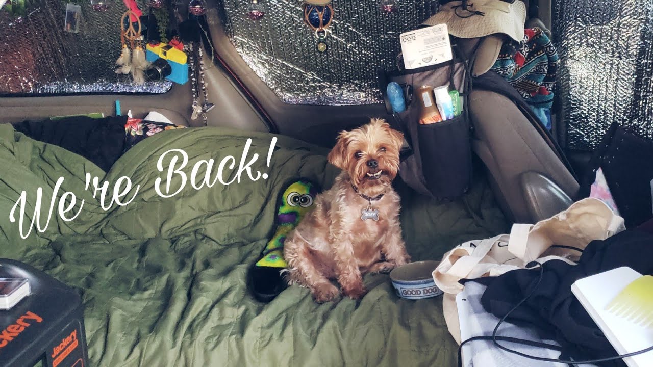 First Day Living In A Minivan... Again! | Back to VanLife on the Mississippi River. ✌🚐💨