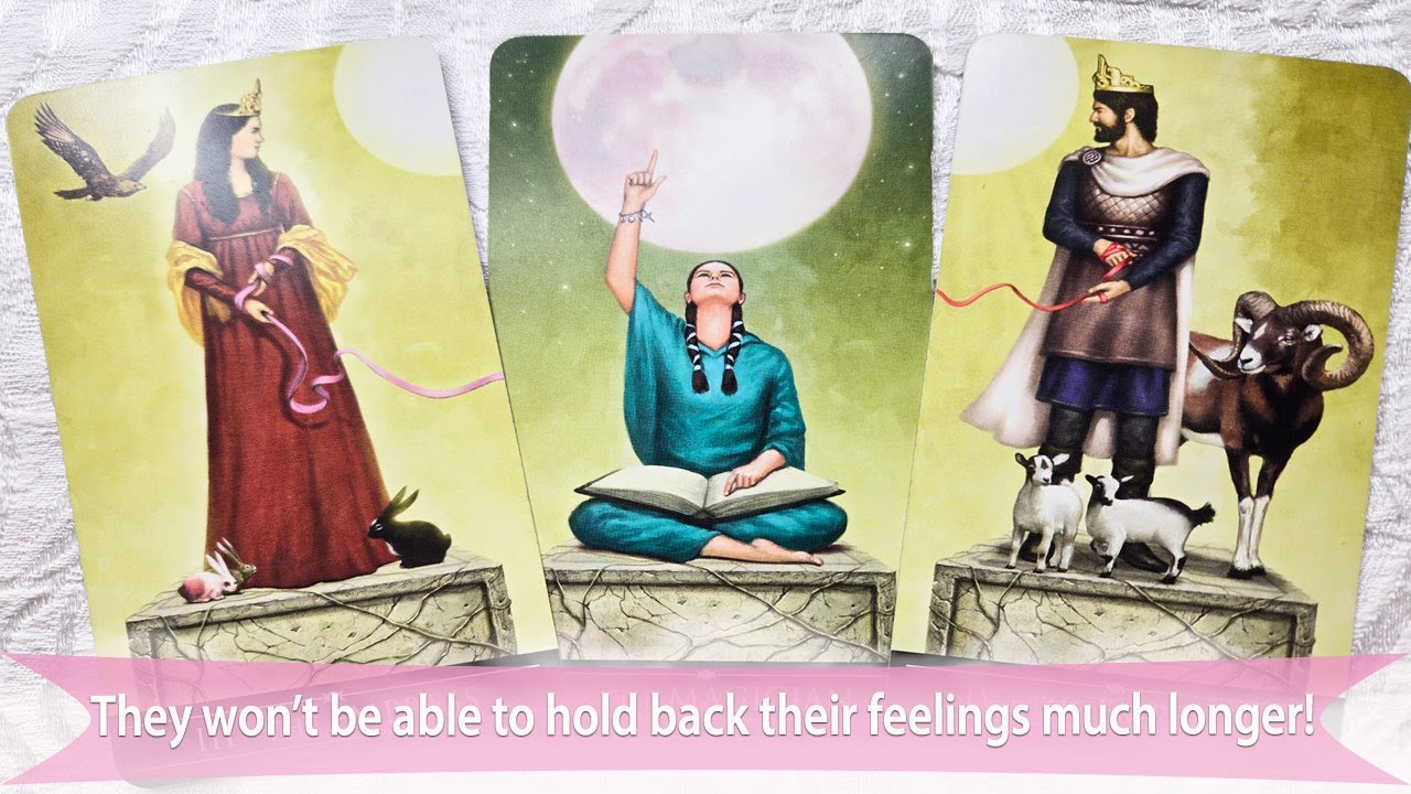 They won't be able to hold back their feelings much longer!