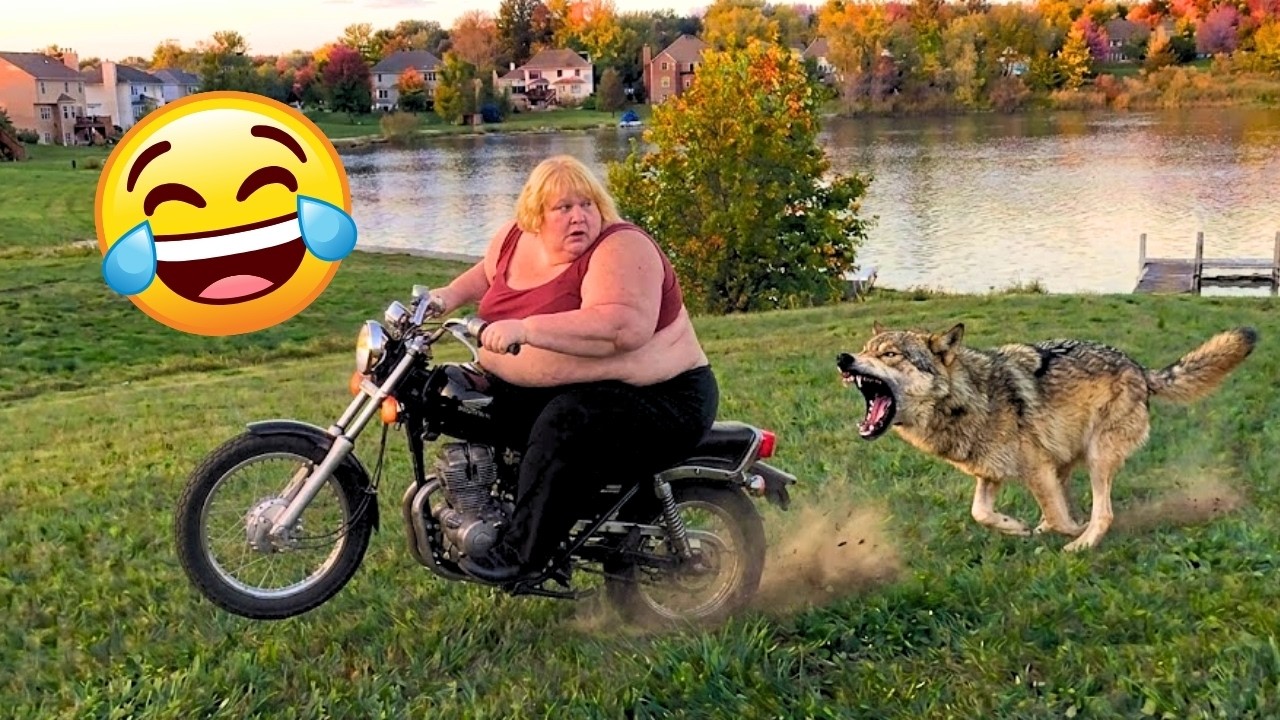 Fails of The Week 😂 Try Not To Laugh Challenge | Crazy Funny Fails Videos & Hilarious People Moments