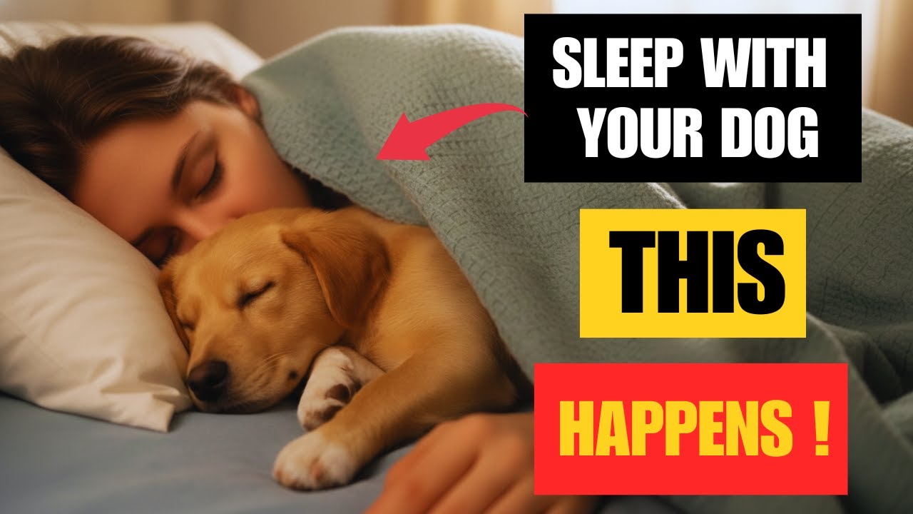 If Your Dog Sleeps With You Every Night, DON’T Ignore This Sign