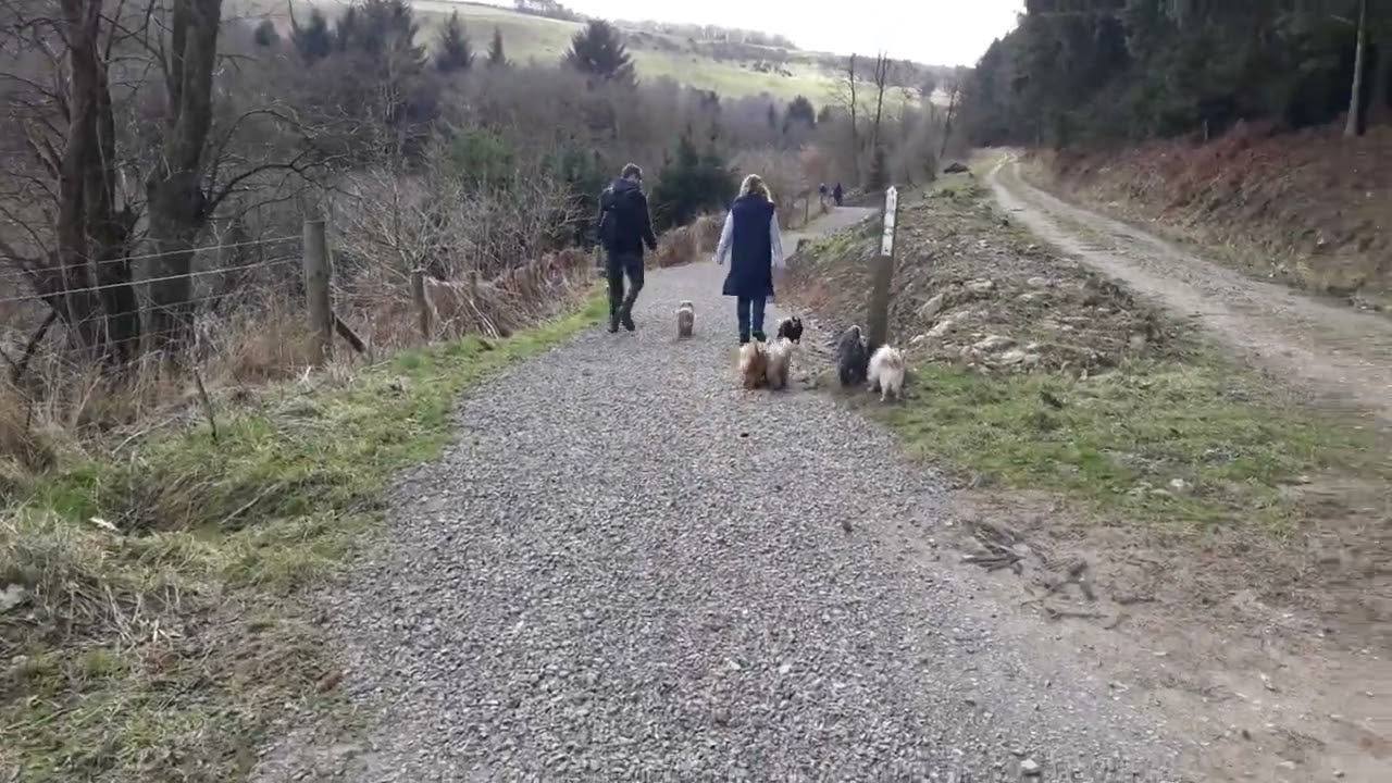 Thornton le Dale Dalby Forest Circular Walk 6 Miles North Yorkshire UK