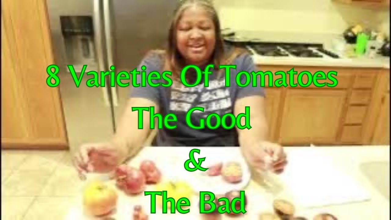 Tomato Taste Review 2024: Black Beauty, Afternoon Delight, Alice's Dream, Crushed Heart, Sgt Peppers