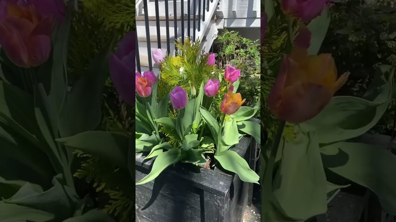 #gardendesigner