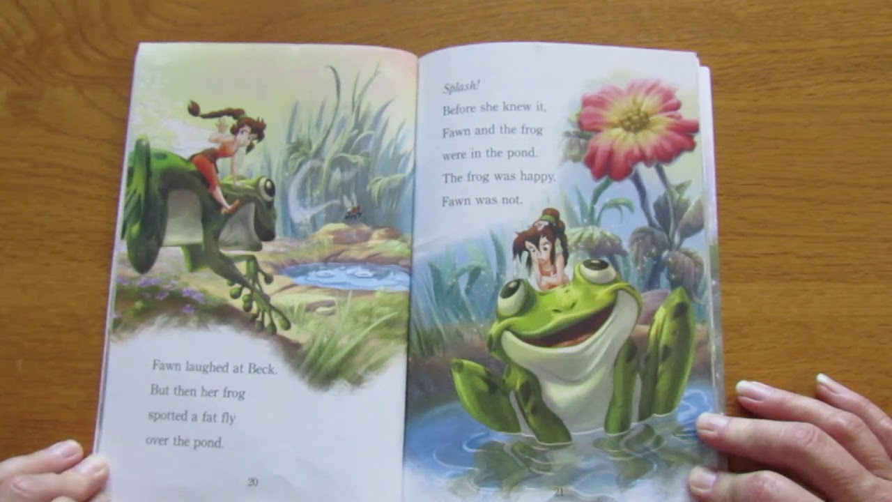 The Great Fairy Race