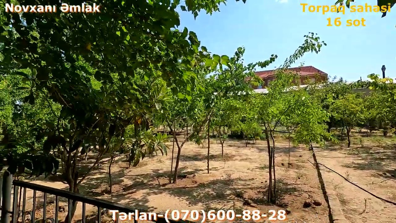 Sarıqayada Meşəliyi xatırladan 16 sotda bağ-bağçalı Bağ evi-235000 AZN