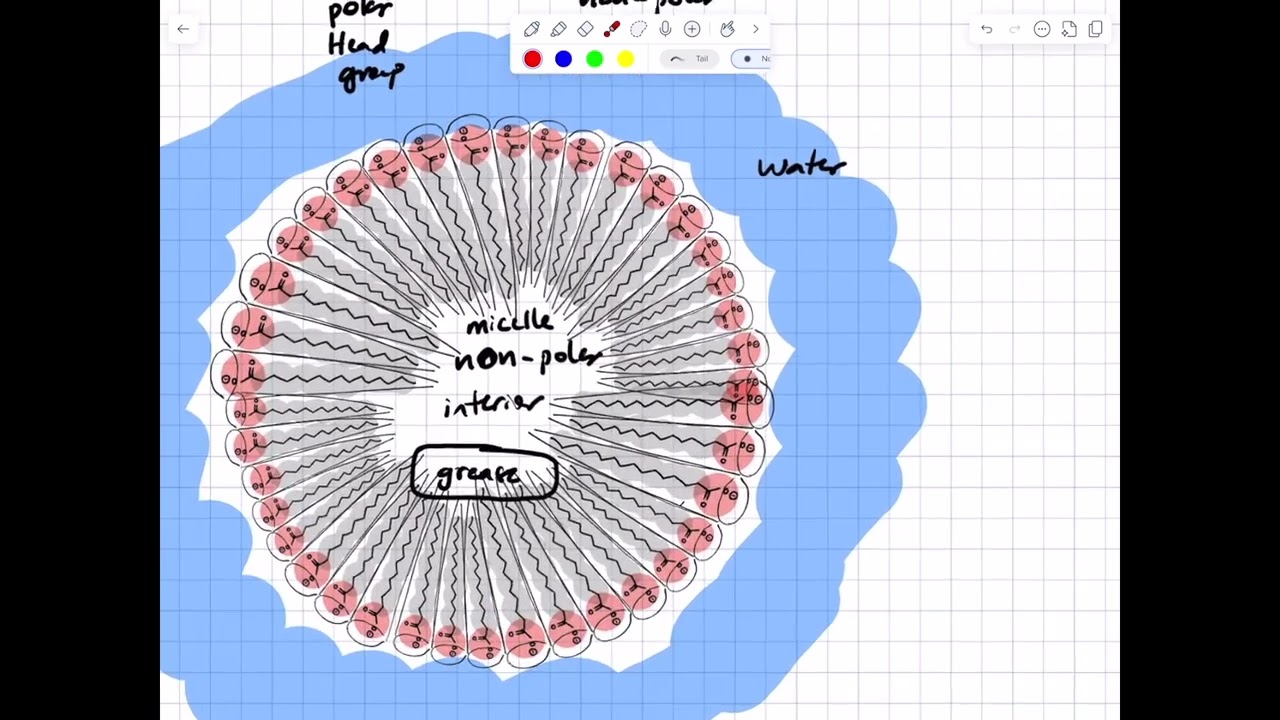 W2026 352 L29 Контрольная точка 25.1 16 марта