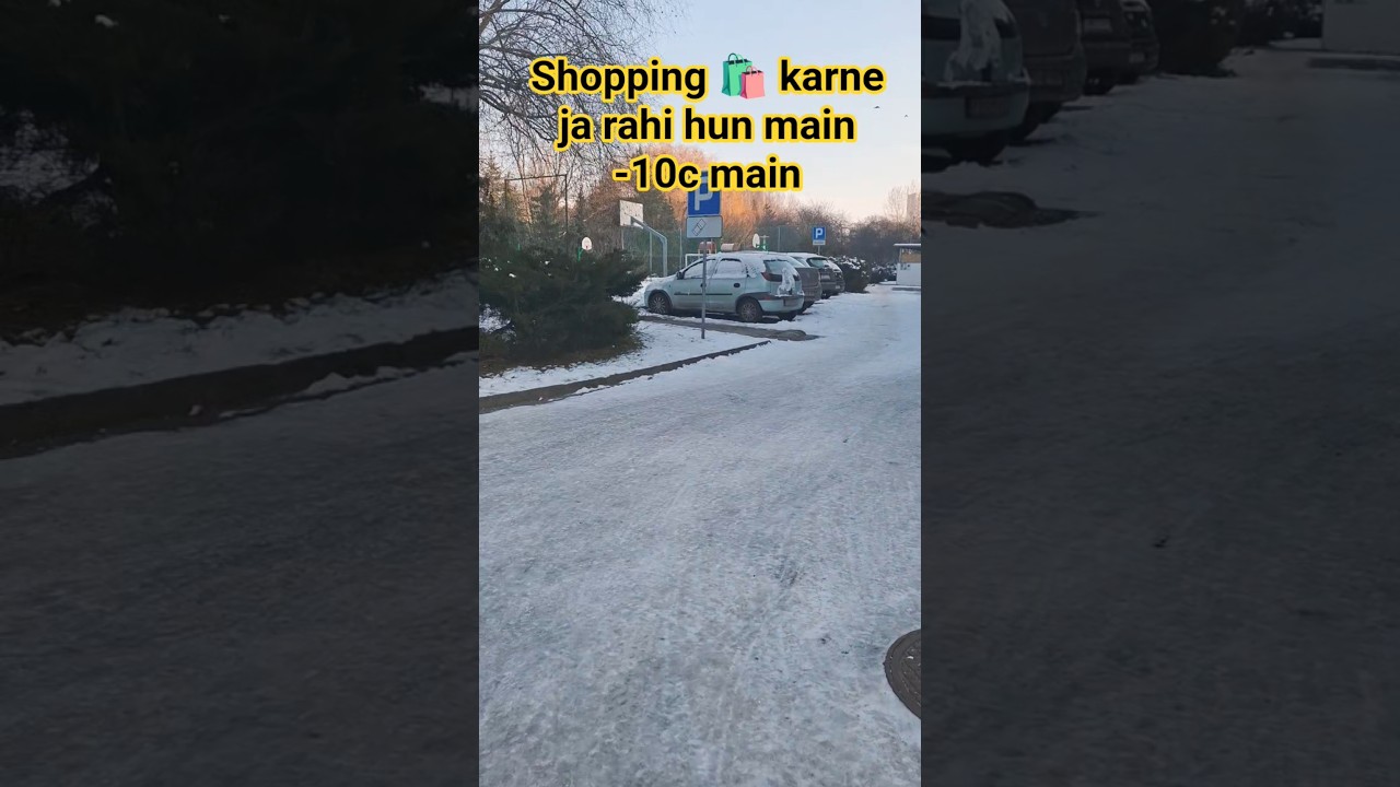 SHOPPING 🛍 karne ja rahi hun -10c main 