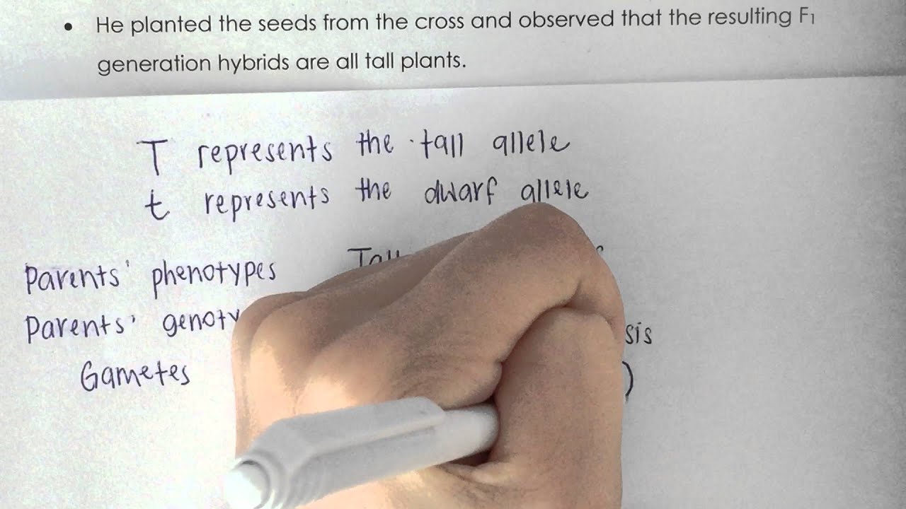 CCSS Biology Video on Genetic Diagram Part 1