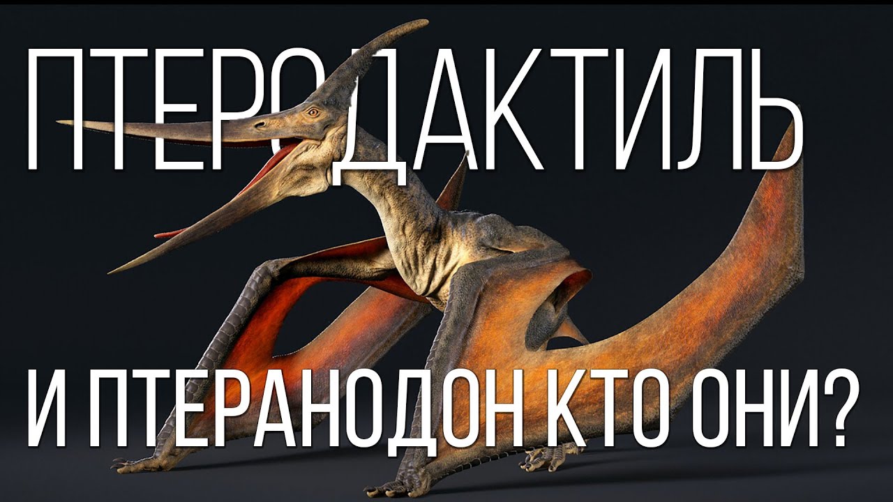 Птеродактиль: Летающая Доисторическая Рептилия | Интересные факты про динозавров
