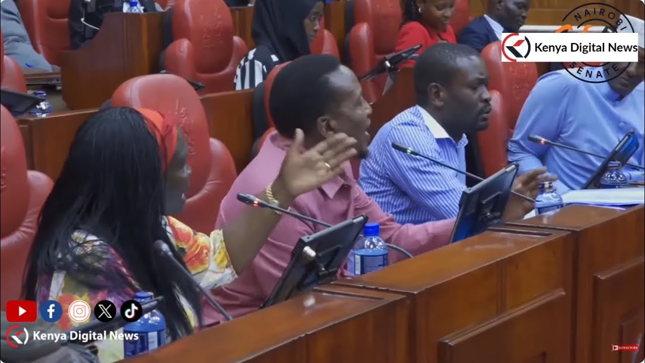 Drama as Senators Sifuna and Kamar clash during Governor Sakaja's senate grilling!!