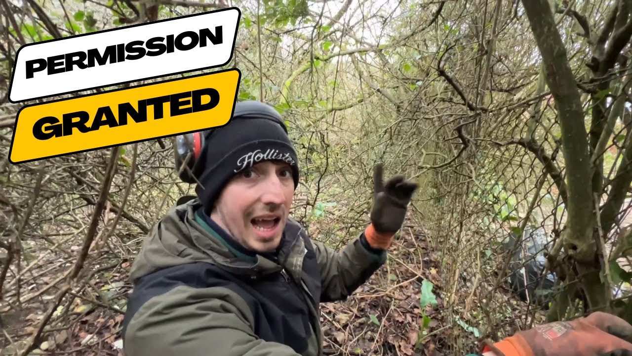 We Finally Got PERMISSION To Cut Down The NEIGHBOURS Overgrown Yard!