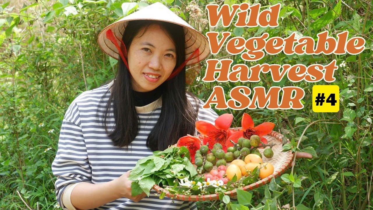 Wild Vegetable Harvest ASMR #4 | Elaeagnus Fruit, Santol, Wild Kapok & Forest Greens 🌱