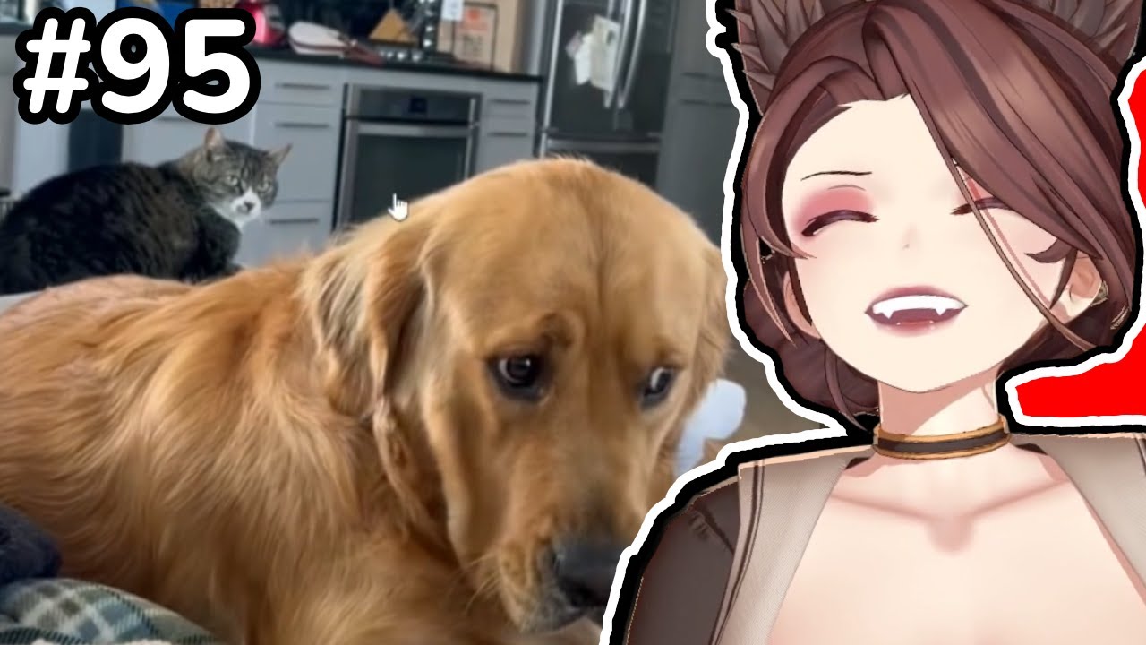 Saeko's Meme Review v95