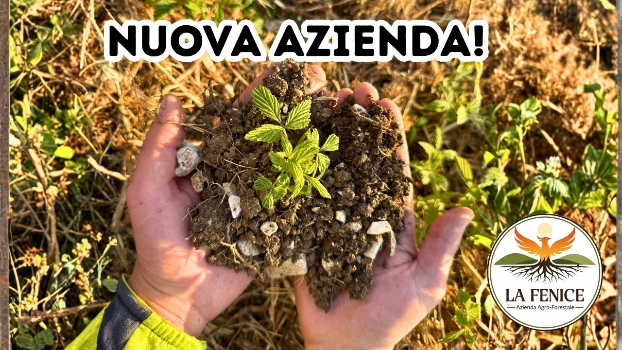 Ho APERTO la mia AZIENDA AGRICOLA! | Un sogno diventato realt&agrave; | Finetti (VR) |