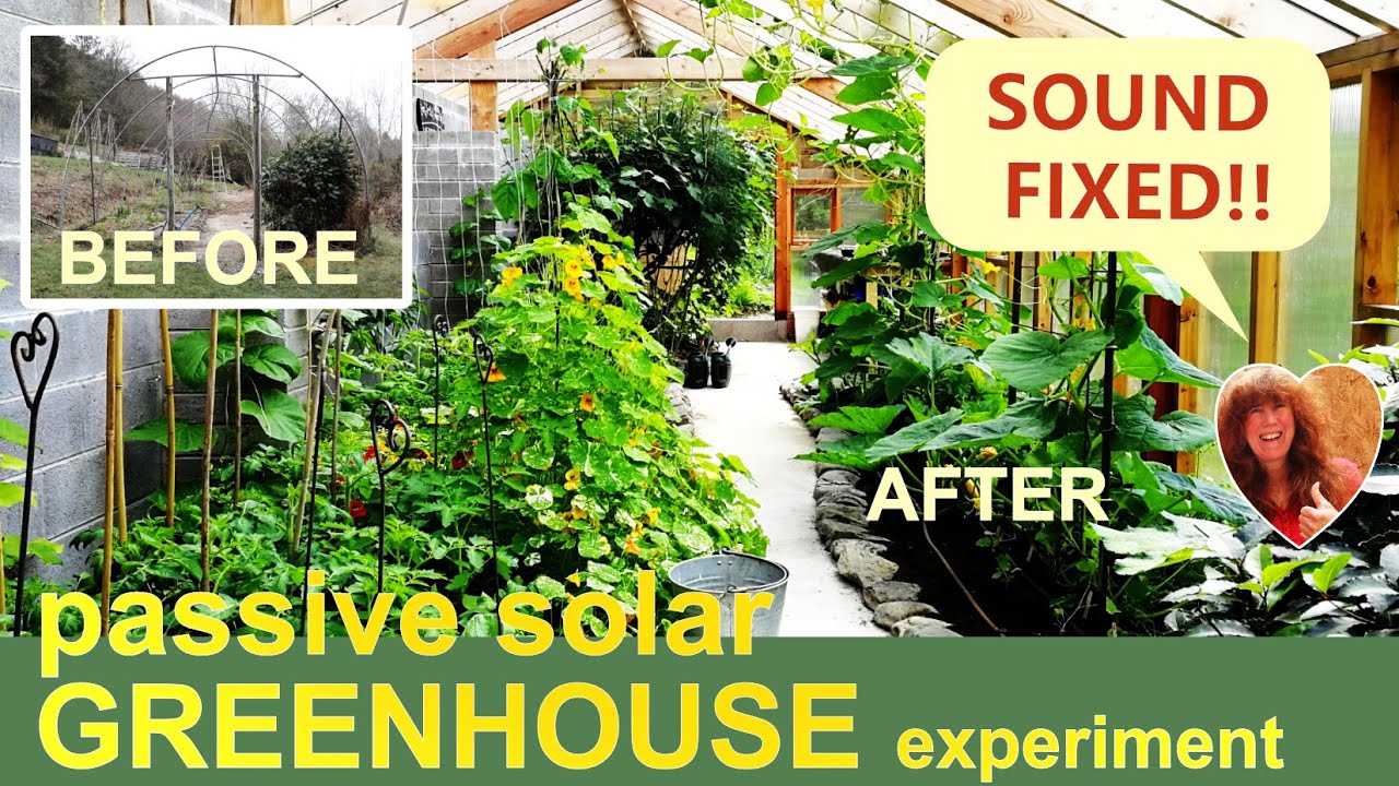 We built a Passive Solar GREENHOUSE | Here's what happened | Sound fixed