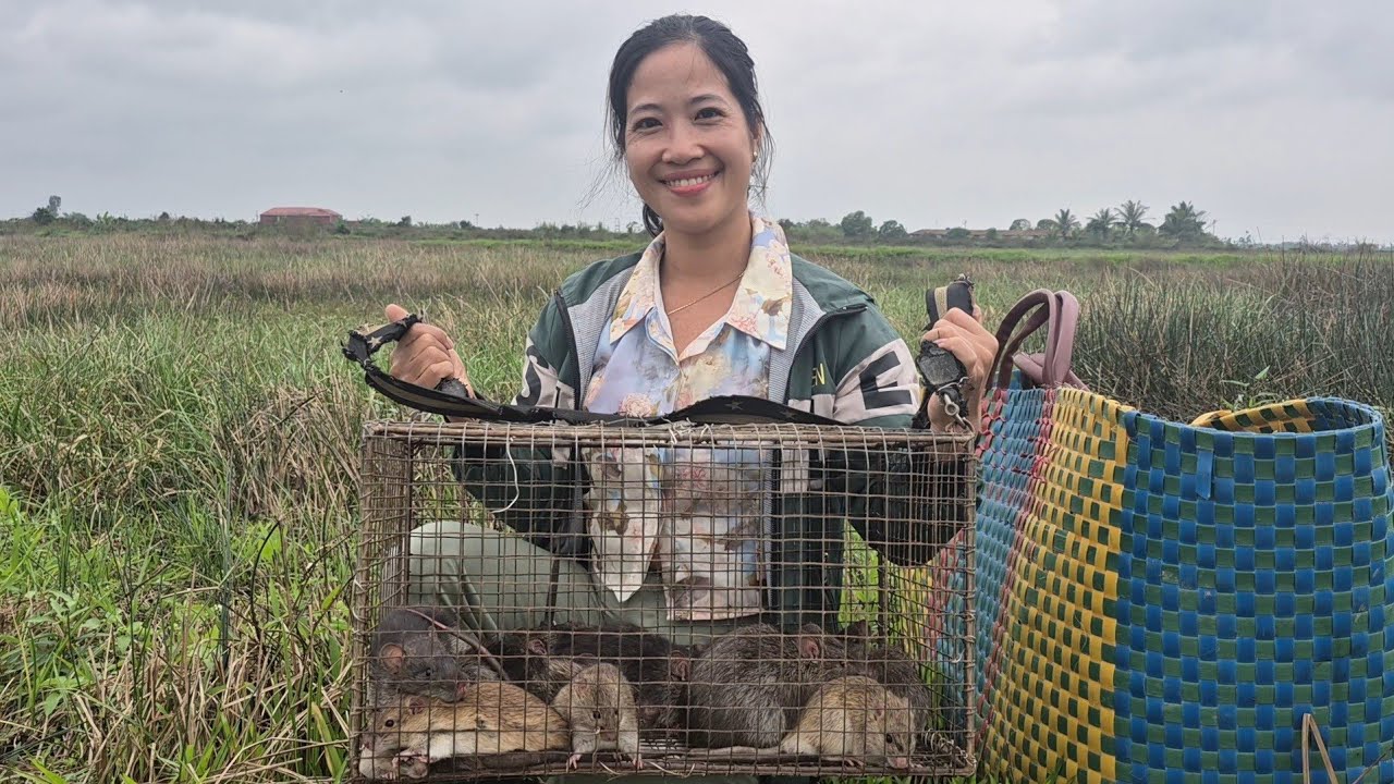 Hai vợ chồng miền bắc khai xuân buổi bắt chuột đầu năm mới kết quả thật bất ngờ