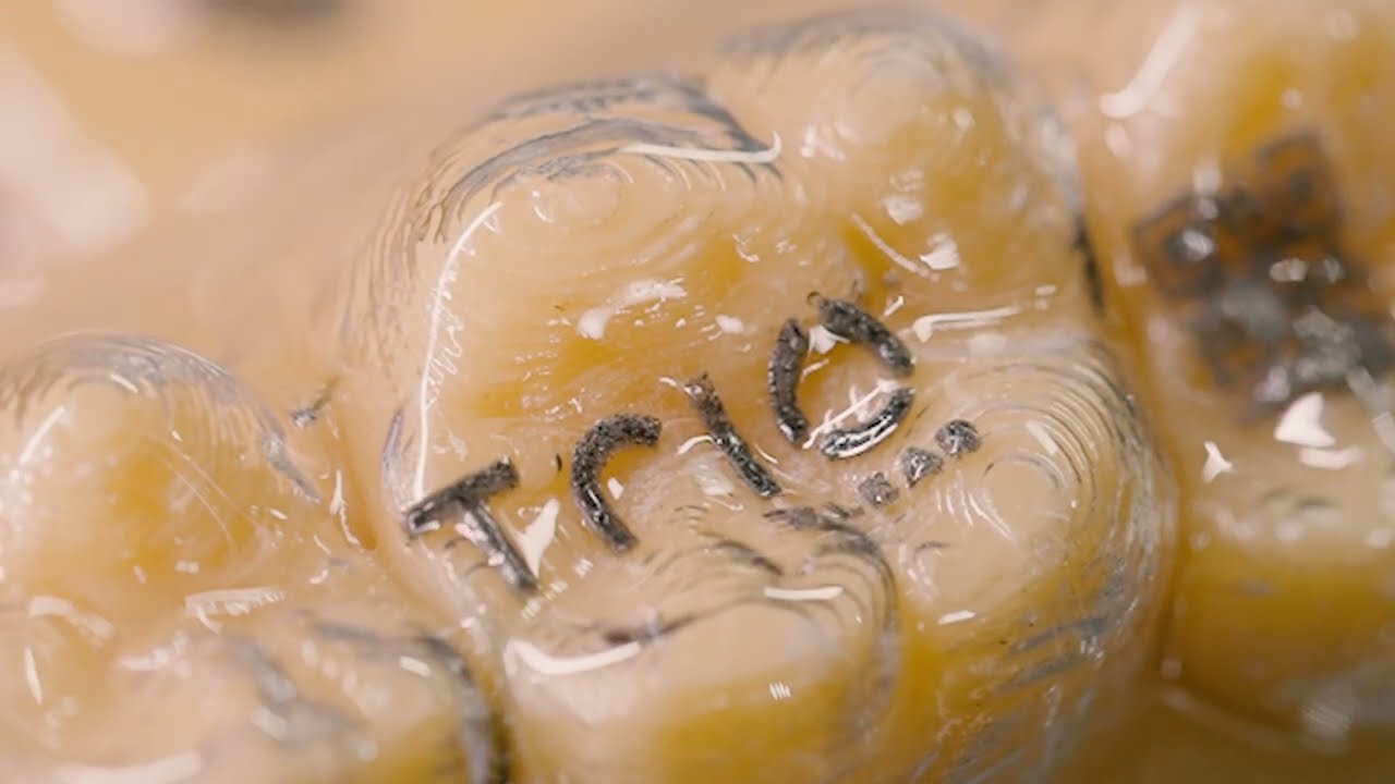 TrioClear™ (Clear Aligner) - Fully Automated Production Line