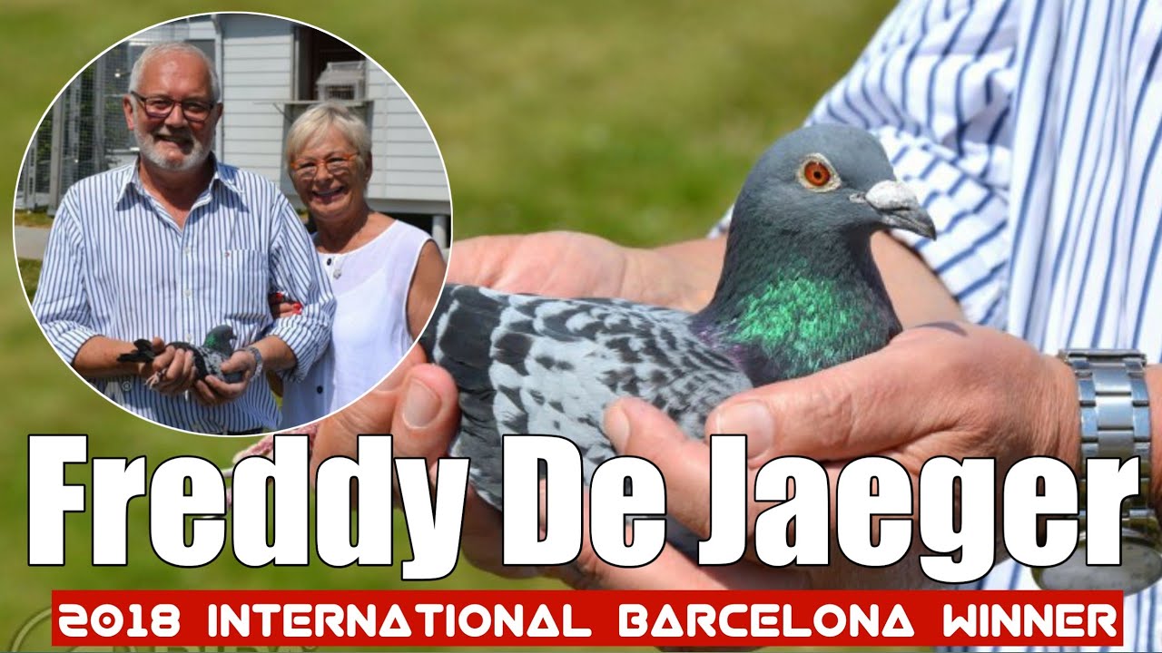 2018 International Barcelona Winner - FREDDY DE JAEGER