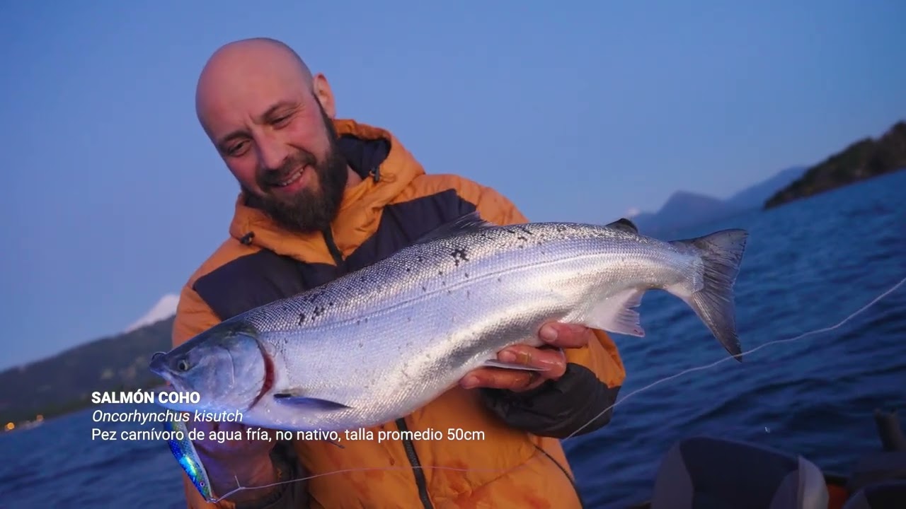 A LA PESCA 