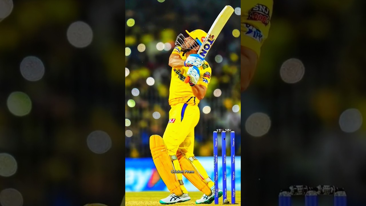 MS Dhoni Loyal Fans ❤️🚨 #msdhoni #cskfans #ipl2025 #cricket #whatsappstatus #shorts #status #csk