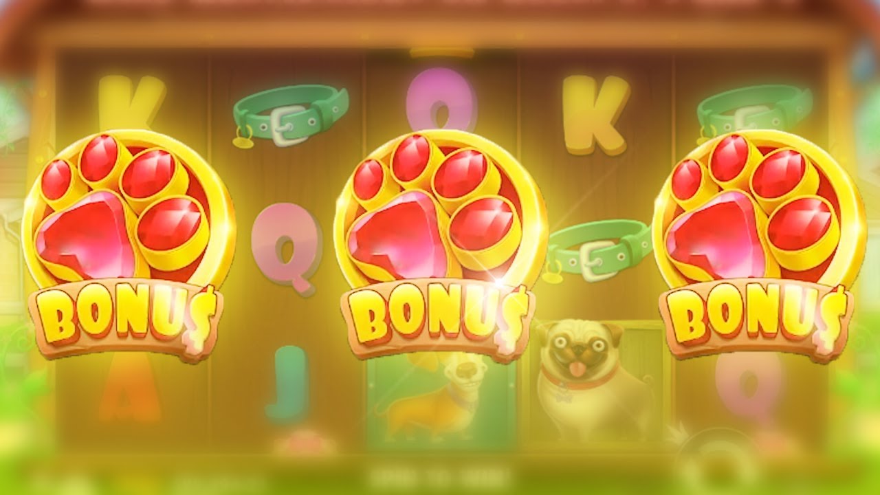 BUYING EVERY DOGHOUSE BONUS POSSIBLE (CELSIUS CASINO)