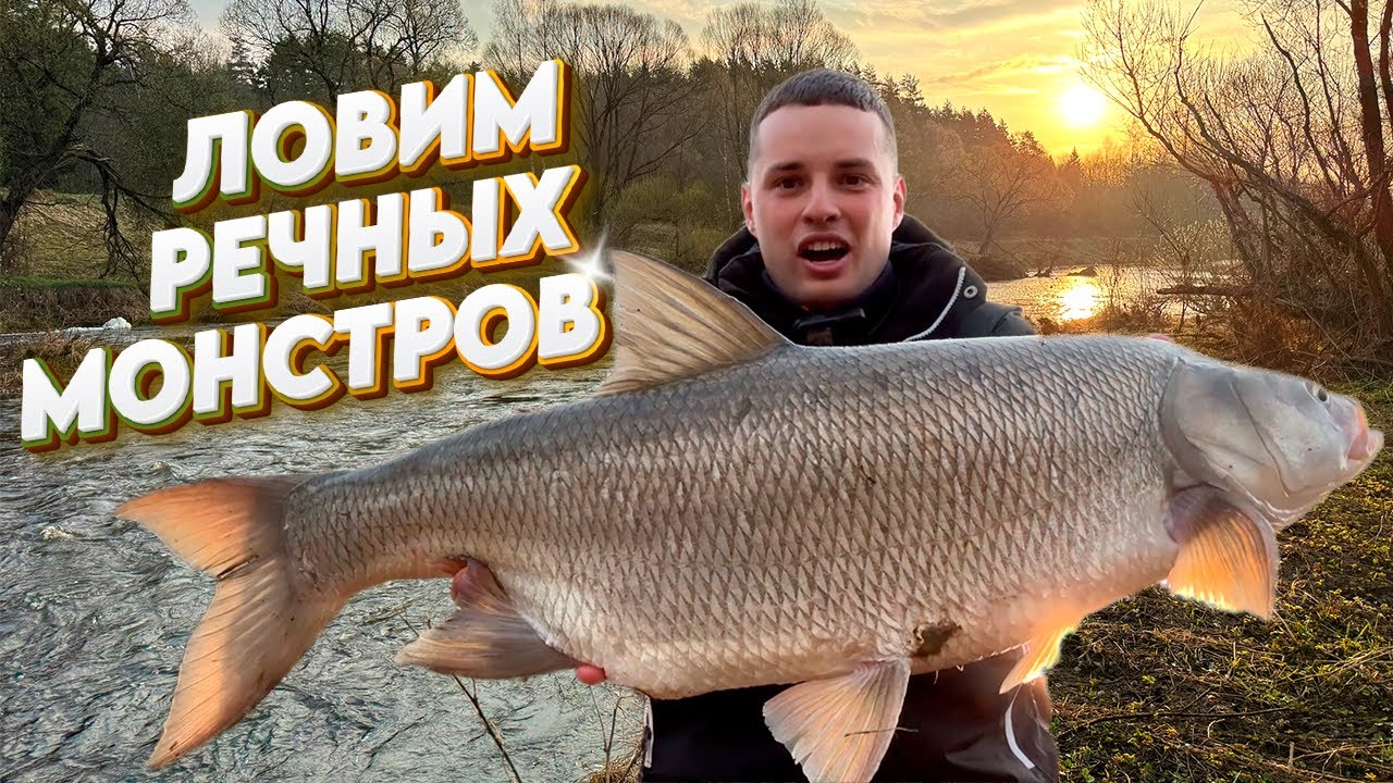 Эту ЯМУ охраняет Он! Жерех МОНСТР на ультралайт! Бленсы и Стики ранней весной